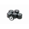 Kit Galets Pour Variateur x6 - Ø 20x17 - 9,5g
