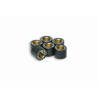 Kit Galets Pour Variateur x6 - Ø 16x13 - 6g