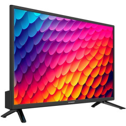 SCHNEIDER - TV LED HDTV - 24BN4