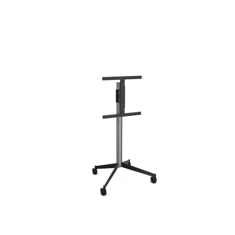 ERARD - Pied TV 039240