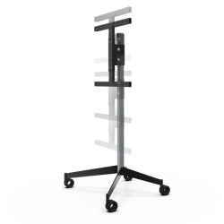 ERARD - Pied TV 039240
