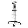 ERARD - Pied TV 039240