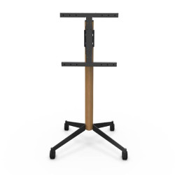 ERARD - Pied TV 039340