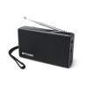 MUSE - Radio portable M030R