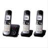 PANASONIC - Téléphone résidentiel KXTG6823