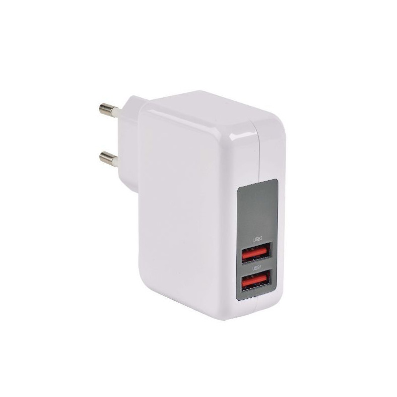 ERARD - Chargeur USB 8203