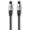 NEDIS - Câble audio CAGC25000AT100