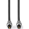 NEDIS - Câble audio CAGC25000AT100