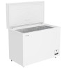 FAGOR - Congélateur coffre FCC300E