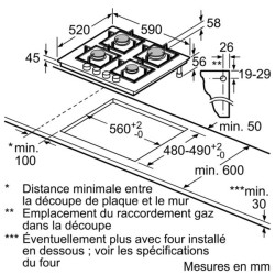 BOSCH - Table de cuisson gaz PPP6A6B20