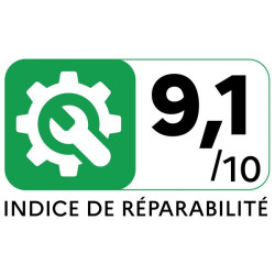 BOSCH - Lave-vaisselle Tout intégrable SPV4EMX24F
