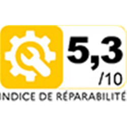 BLACK & DECKER - Aspirateur à main - Spir Dustbuster - NVC115JL