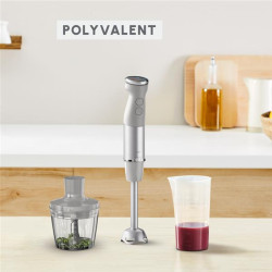 MOULINEX - Mixeur plongeant - QuickChef+ - DD672B10