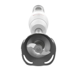 MOULINEX - Mixeur plongeant - EasyChef - DD451110