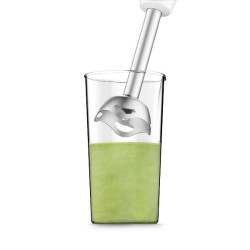 MOULINEX - Mixeur plongeant - EasyChef - DD451110