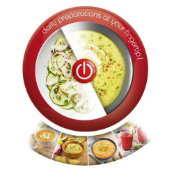 MOULINEX - Mixeur plongeant - EasyChef - DD451110