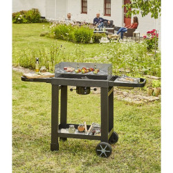 COOK IN GARDEN - Barbecue charbon - Easy 60 - CH042T