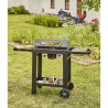 COOK IN GARDEN - Barbecue charbon - Easy 60 - CH042T