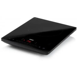 RECHAUD 1 PLAQUE INDUCTION DOMO DO332IP