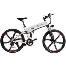 VTT À ASSISTANCE ÉLECTRIQUE LÉO 48V/8AH/350