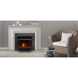 INSERT PELLETS 20510 ECO-I ANTHRACITE PORTE NOIR