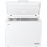 CONGÉLATEUR COFFRE 300L CLASSE E