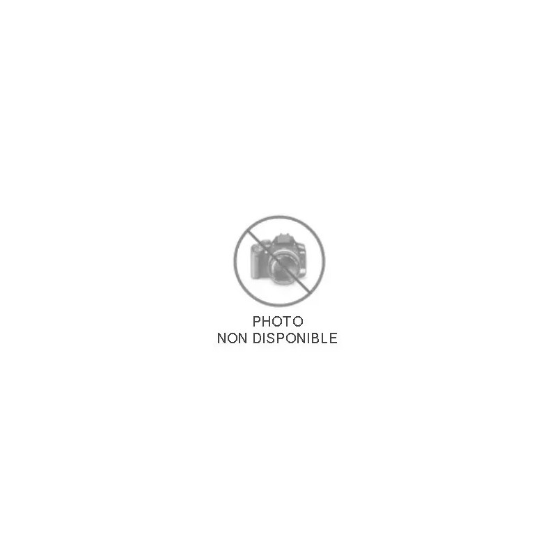 ACCESSOIRE ROBLIN 5693219 CHEMINEE NOIR