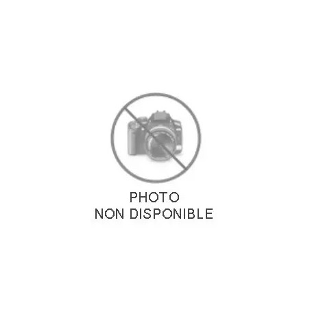 ACCESSOIRE ROBLIN 5693219 CHEMINEE NOIR