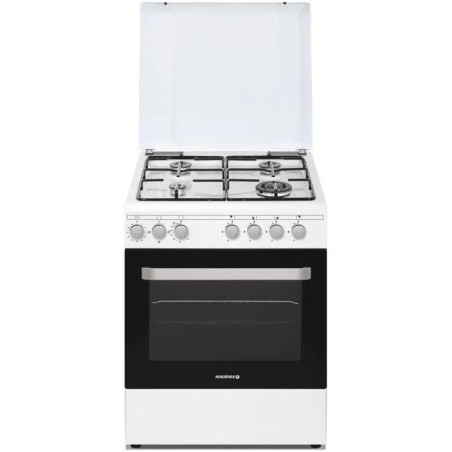 CUISINIERE GAZ ROSIERES RGG663CSW/E