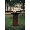 PLANCHA WOOD COUPE DE FEU C 80 SOCLE ACIER CORTEN