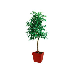 Occasion - EDA Pot de fleur carré Toscane - 39 x 39 x H 39 cm - 38 L - Rouge rubis