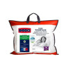 Occasion -DODO Oreiller Grand luxe Quallofil Allerban 50x70cm