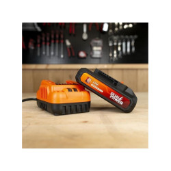 Occasion-Batterie et Chargeur - Dual Power