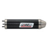 Silencieux Carbone Aprilia RS4 50 2011 CAP.9